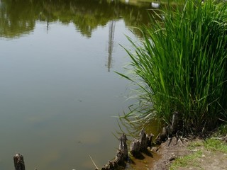 02.jpg