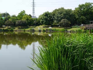 04.jpg