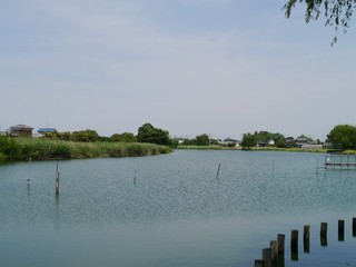 06.jpg