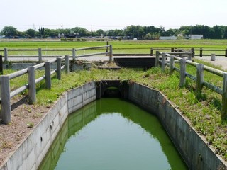 08.jpg