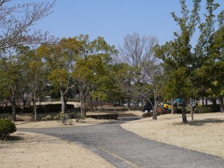 1b.jpg