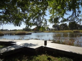 DSC04416m.jpg