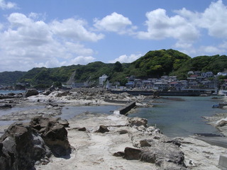 DSCN0875.jpg