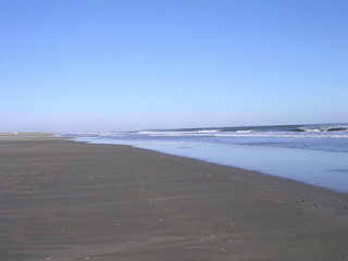 DSCN3442.jpg