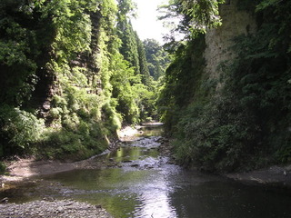 DSCN3472.jpg