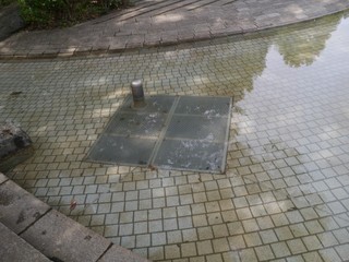P1030217.jpg