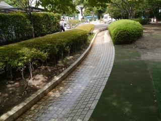 P1030225.jpg