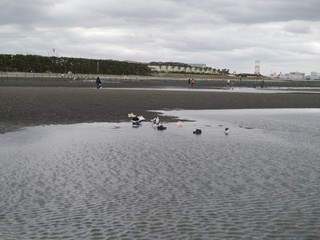 P1040982.jpg