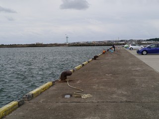 P1050011.jpg
