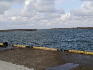 P1050075.jpg