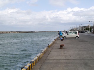 P1050528.jpg