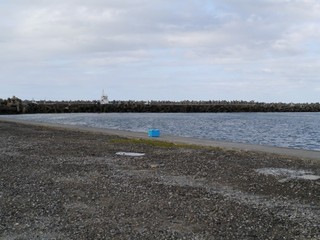 P1050574.jpg