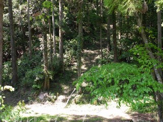 P1090402.jpg
