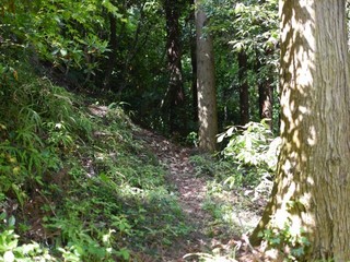 P1090436.jpg