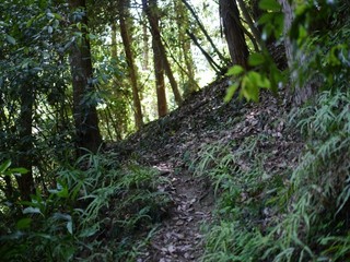 P1090439.jpg
