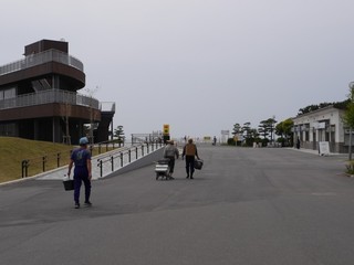P1110030.jpg
