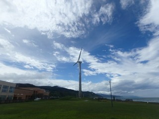 P1130605.jpg