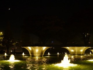 P1170420.jpg