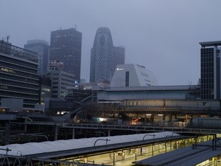 P1180003.jpg