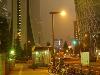 P1180161.jpg