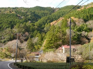 P1190010.jpg