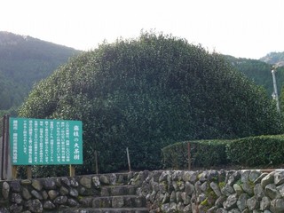 P1190017.jpg
