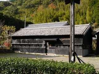 P1190019.jpg
