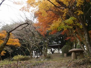 P1190104.jpg