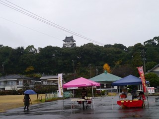 P1190242.jpg