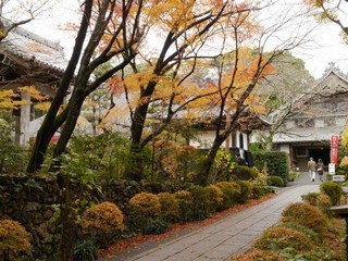 P1190279.jpg
