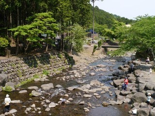 P1320041.jpg