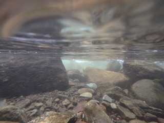 P1320044.jpg