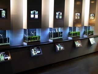 P1350215m.jpg