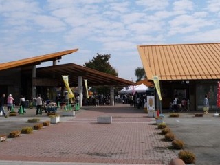 P1350255m.jpg