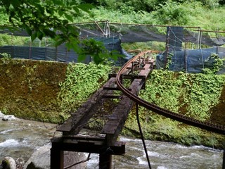 P1360631.jpg