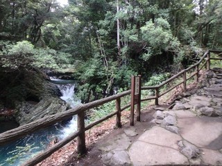 P1360647.jpg