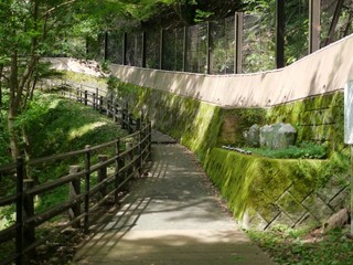 P1360744.jpg