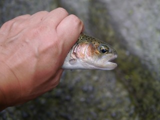P1360900.jpg