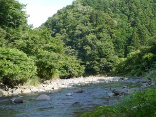 P1370005.jpg
