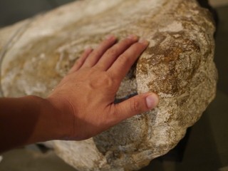 P1370831.jpg