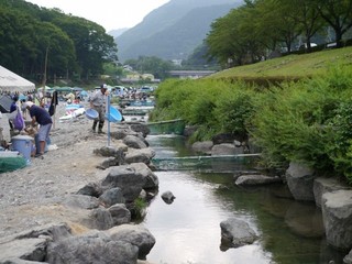 P1400221.jpg