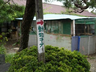 P1410854.jpg
