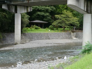P1420516.jpg