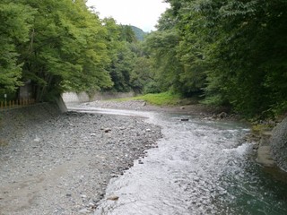 P1420537.jpg