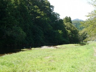 P1420761.jpg