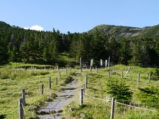 P1420921.jpg