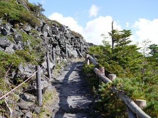 P1420954.jpg