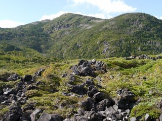 P1430005.jpg