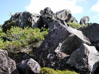 P1430025.jpg