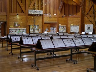 P1430201.jpg